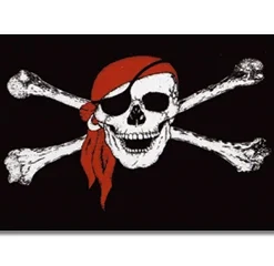 Vlag Op Stokje – Piraat -Goedkope Tuin Spellen Winkel vlag piraat